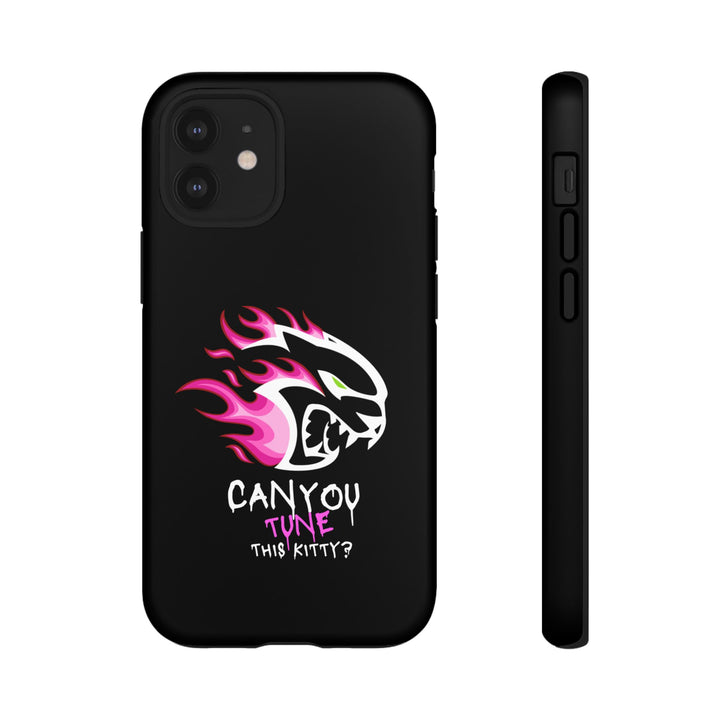 "CAN YOU TUNE THIS KITTY?" Case