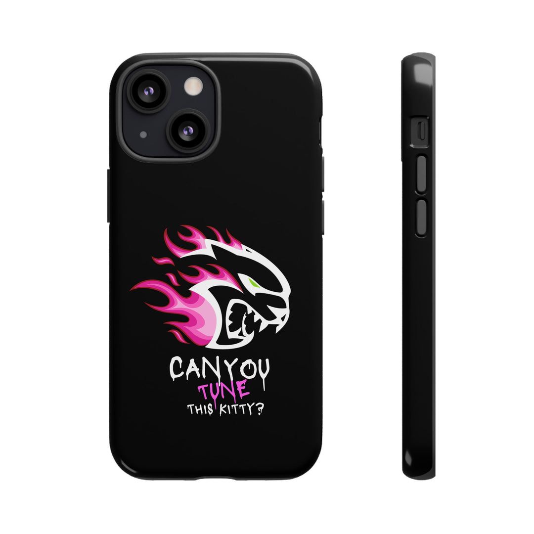 "CAN YOU TUNE THIS KITTY?" Case