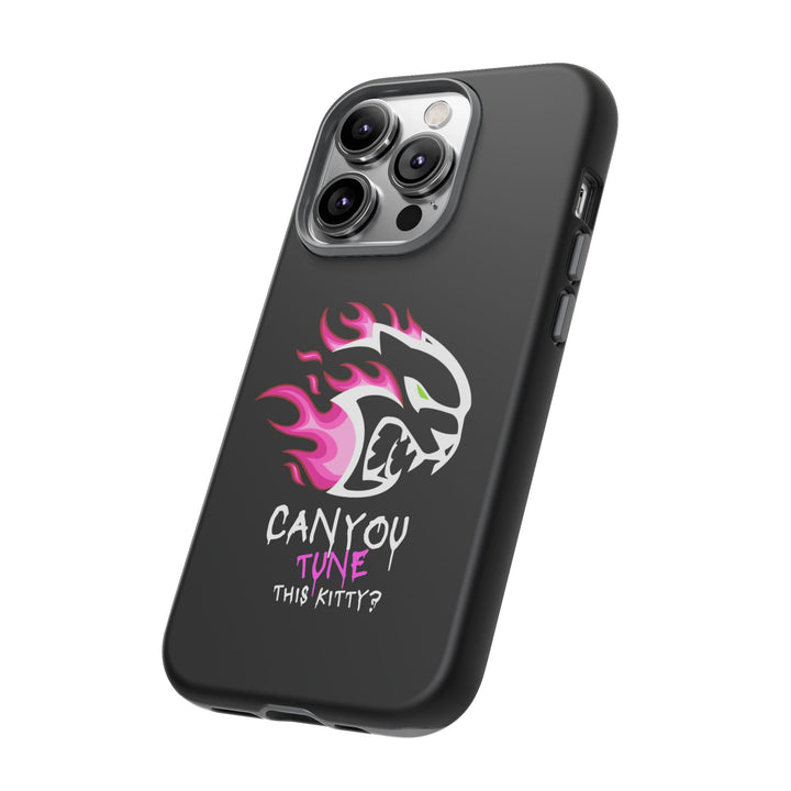 "CAN YOU TUNE THIS KITTY?" Case