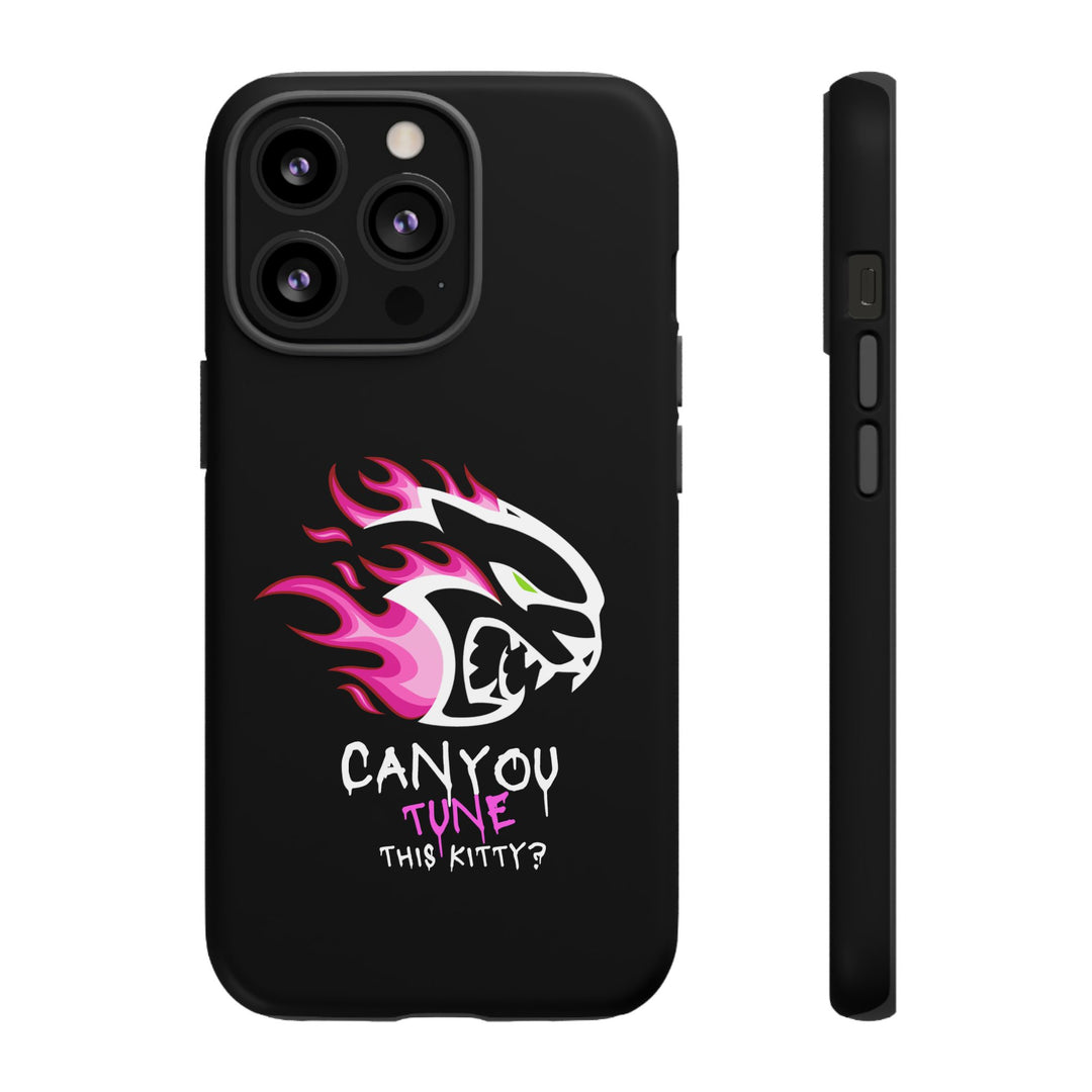 "CAN YOU TUNE THIS KITTY?" Case