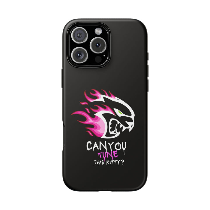 "CAN YOU TUNE THIS KITTY?" Case