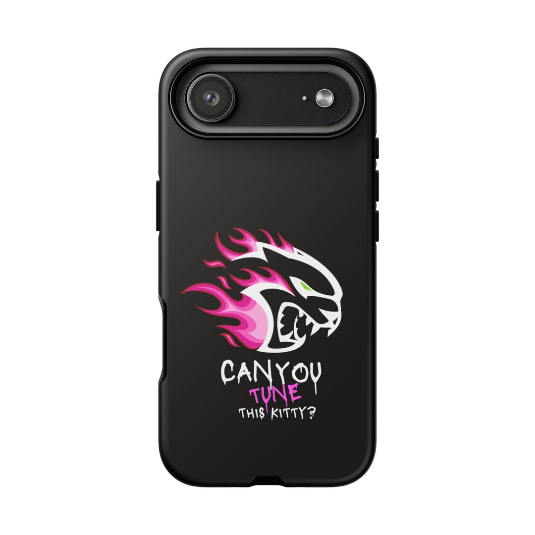 "CAN YOU TUNE THIS KITTY?" Case