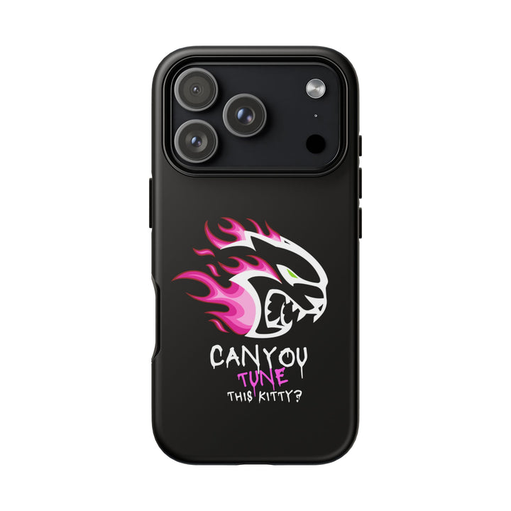 "CAN YOU TUNE THIS KITTY?" Case