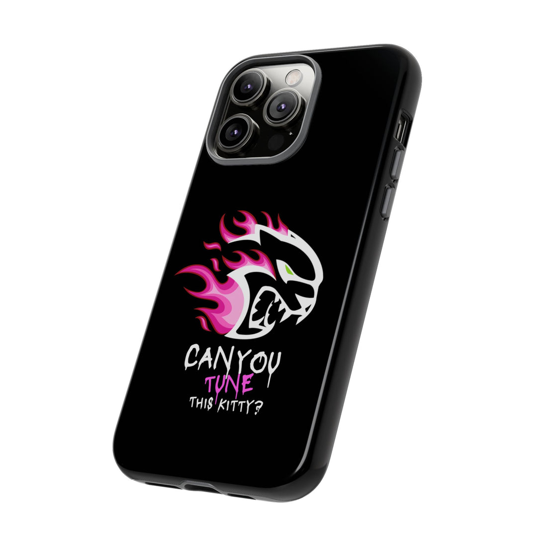 "CAN YOU TUNE THIS KITTY?" Case