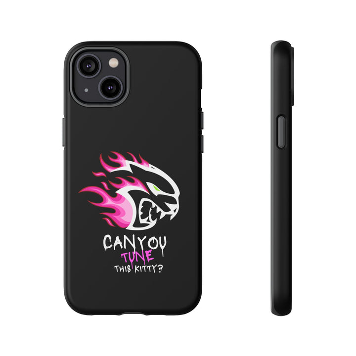 "CAN YOU TUNE THIS KITTY?" Case