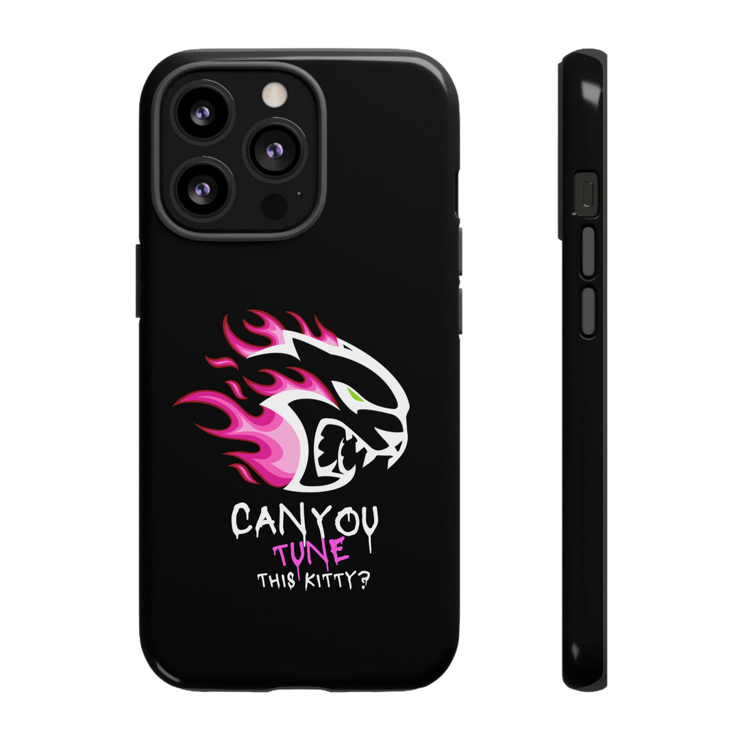 "CAN YOU TUNE THIS KITTY?" Case