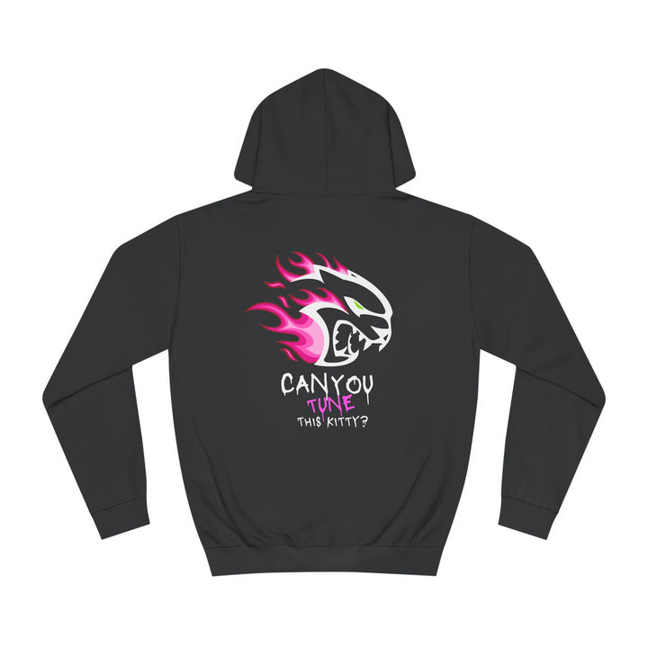"CAN YOU TUNE THIS KITTY?" HOODIE