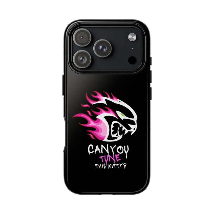 "CAN YOU TUNE THIS KITTY?" Case