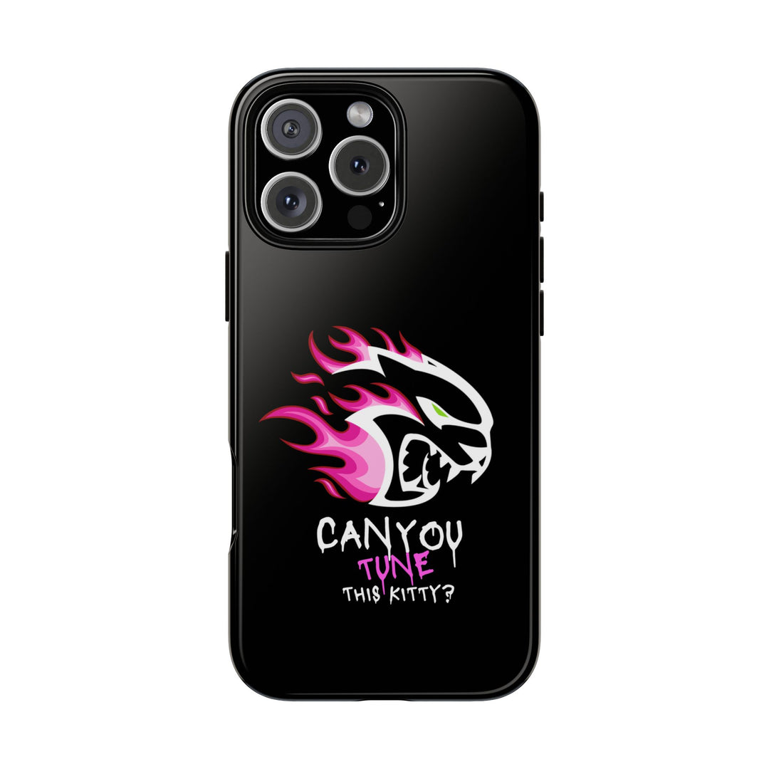 "CAN YOU TUNE THIS KITTY?" Case